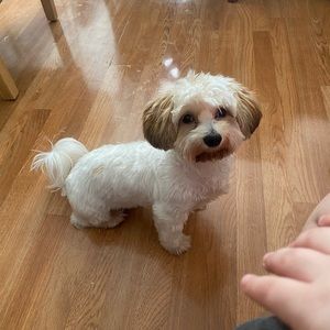 Meet your Posher, Eva